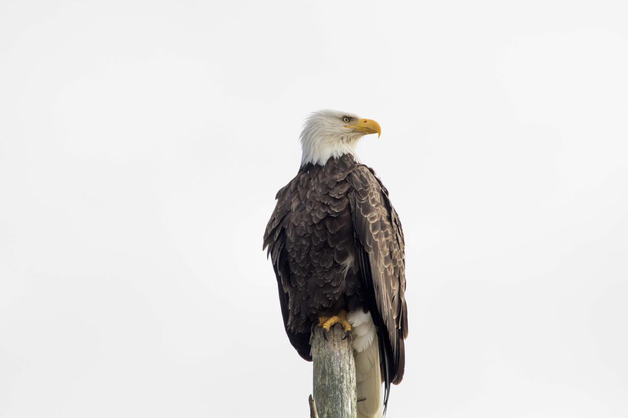 Eagles View Condo In Ocean Shores With 3 Balconies Exterior foto